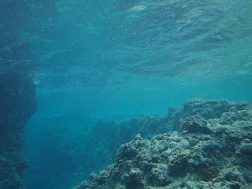 武藤潜水に投稿された画像（2022/7/1）