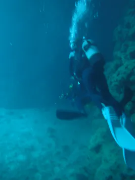 武藤潜水に投稿された画像（2022/7/1）