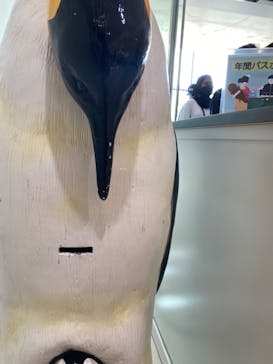 京都水族館に投稿された画像（2022/7/6）
