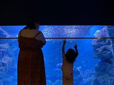 京都水族館に投稿された画像（2022/7/6）