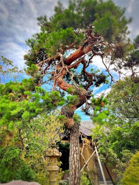熊谷天然温泉　花湯スパリゾートに投稿された画像（2022/7/6）