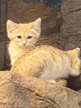 那須どうぶつ王国に投稿された画像（2022/7/6）