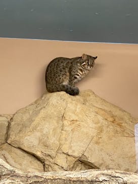 那須どうぶつ王国に投稿された画像（2022/7/6）