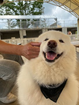 那須どうぶつ王国に投稿された画像（2022/7/6）