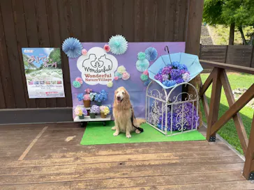 わんダフルネイチャーヴィレッジに投稿された画像（2022/7/6）