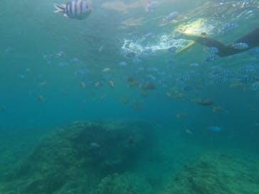 DIVING-SHOP SUNSに投稿された画像（2022/7/6）