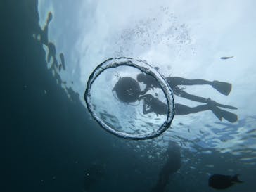 武藤潜水に投稿された画像（2022/7/6）