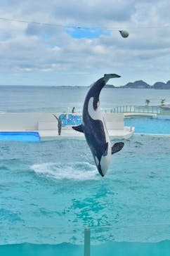 鴨川シーワールドに投稿された画像（2022/7/6）