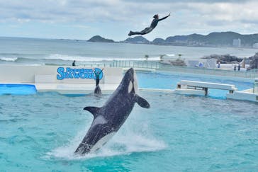 鴨川シーワールドに投稿された画像（2022/7/6）