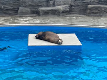 鴨川シーワールドに投稿された画像（2022/7/6）