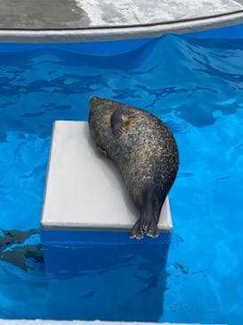 鴨川シーワールドに投稿された画像（2022/7/6）