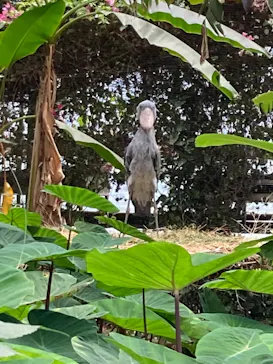 神戸どうぶつ王国に投稿された画像（2022/7/6）