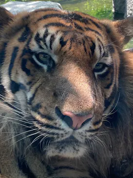 神戸どうぶつ王国に投稿された画像（2022/7/6）