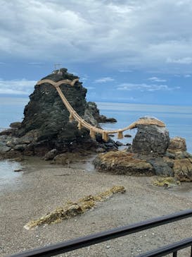 ゼロ距離水族館 伊勢シーパラダイスに投稿された画像（2022/7/6）