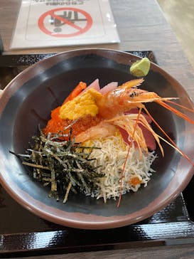 ゼロ距離水族館 伊勢シーパラダイスに投稿された画像（2022/7/6）