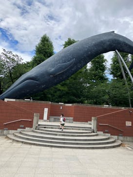 国立科学博物館に投稿された画像（2022/7/6）