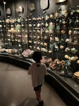 国立科学博物館に投稿された画像（2022/7/6）