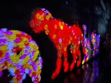 森ビル デジタルアート ミュージアム：エプソン チームラボボーダレスに投稿された画像（2022/7/6）