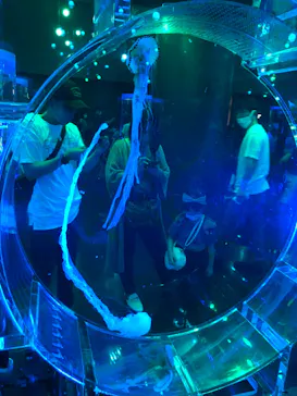 マクセル アクアパーク品川に投稿された画像（2022/7/6）