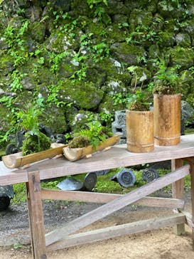 古民家JINYA（ジンヤ）に投稿された画像（2022/7/6）