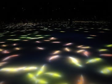 チームラボプラネッツ TOKYO DMMに投稿された画像（2022/7/7）