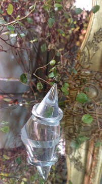 impera accessory（インペラアクセサリー）に投稿された画像（2022/7/7）