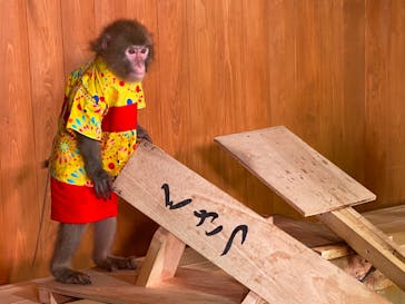 おさるの湯もみ処　おさ湯に投稿された画像（2022/7/7）