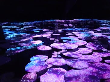 森ビル デジタルアート ミュージアム：エプソン チームラボボーダレスに投稿された画像（2022/7/7）