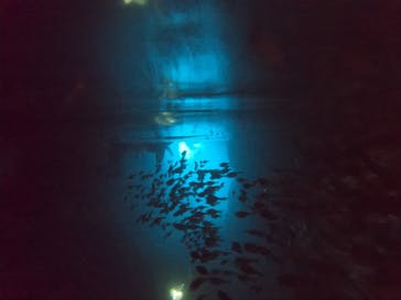 武藤潜水に投稿された画像（2022/7/7）