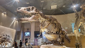 国立科学博物館に投稿された画像（2022/7/8）