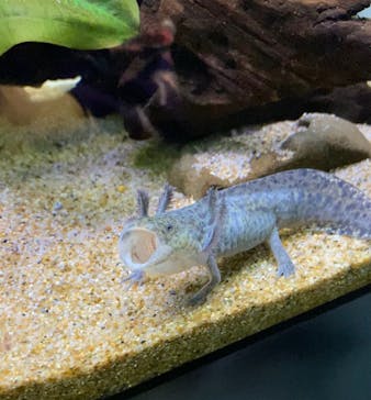 サンシャイン水族館に投稿された画像（2022/7/8）