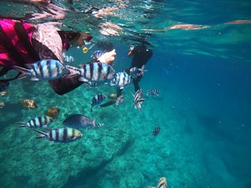 武藤潜水に投稿された画像（2022/7/8）