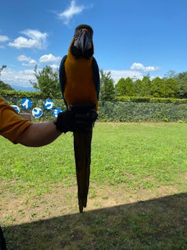 群馬サファリパークに投稿された画像（2022/7/8）