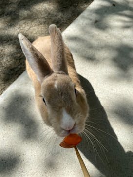 群馬サファリパークに投稿された画像（2022/7/8）