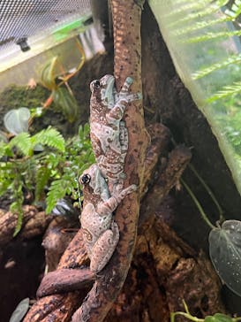 カワスイ 川崎⽔族館に投稿された画像（2022/7/8）