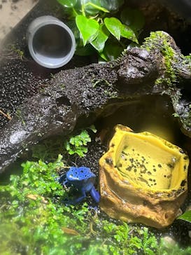 カワスイ 川崎⽔族館に投稿された画像（2022/7/8）