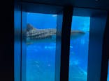 沖縄美ら海水族館に投稿された画像（2022/7/8）