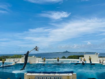 ジャンボツアーズに投稿された画像（2022/7/8）