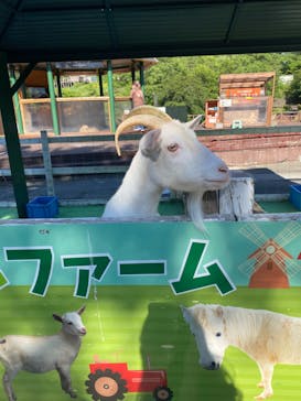 那須ハイランドパークに投稿された画像（2022/7/8）