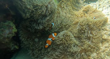 marine assist DEMI（マリンアシストデミ）に投稿された画像（2022/7/9）