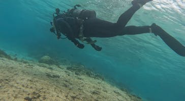 marine assist DEMI（マリンアシストデミ）に投稿された画像（2022/7/9）