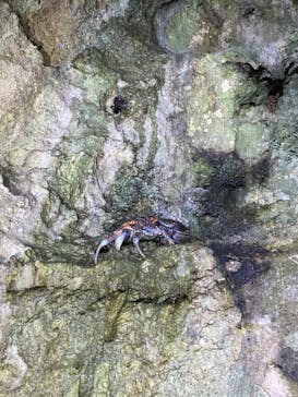 石垣島 ADVENTURE PiPi（イシガキジマアドベンチャーピピ）に投稿された画像（2022/7/9）