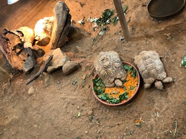 体感型動物園iZooに投稿された画像（2022/7/9）