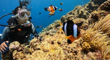 DIVING-SHOP SUNSに投稿された画像（2022/7/9）