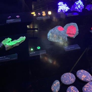 特別展「宝石　地球がうみだすキセキ」（名古屋市科学館　理工館地下２階イベントホール）に投稿された画像（2022/7/9）
