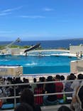 沖縄美ら海水族館に投稿された画像（2022/7/9）