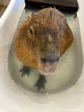 アニタッチみなとみらいに投稿された画像（2022/7/9）