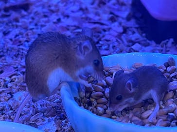 アニタッチみなとみらいに投稿された画像（2022/7/9）