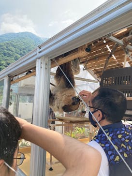 大分マリーンパレス水族館 「うみたまご」に投稿された画像（2022/7/9）