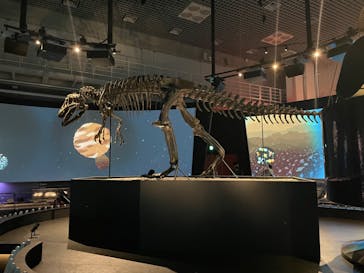 国立科学博物館に投稿された画像（2022/7/9）